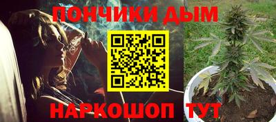 крисы Гатчина