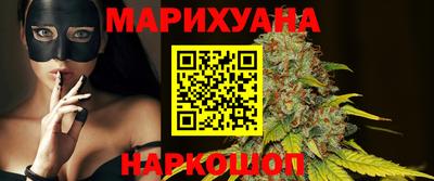 крисы Гатчина