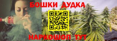 МДПВ Гагарин