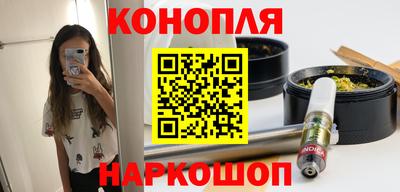 крисы Гатчина