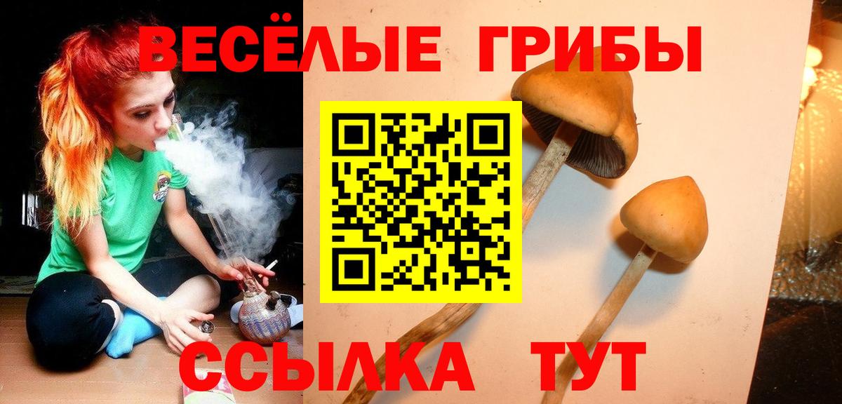Псилоцибиновые грибы Cubensis  Вход с VPN  Добрянка 